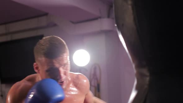 Boxing Sparring in the Ring Professional Boxing alt