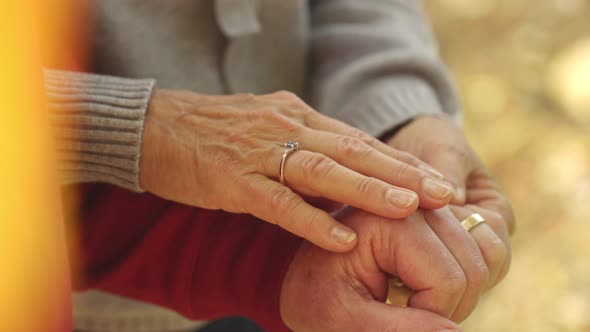 Senior Spouses Showing Their Wedding Rings to the Camera alt