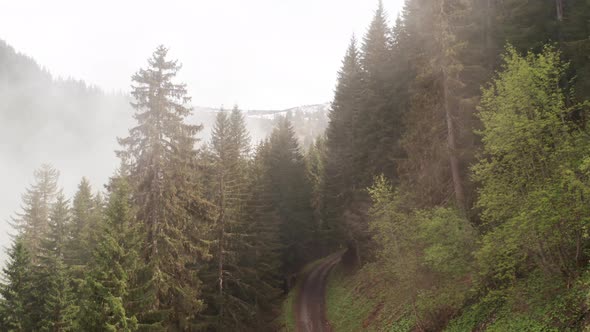 Jib up of beautiful mountain trail with fog rolling up mountain slope alt