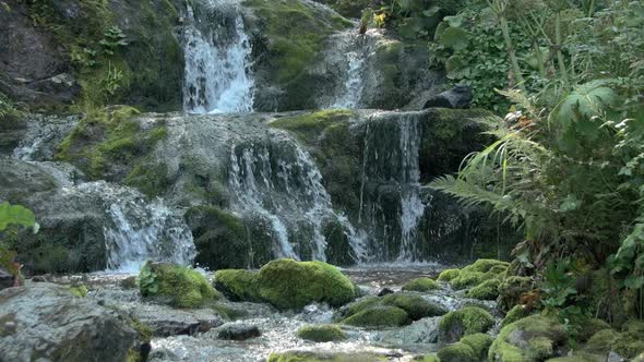 Mountain Stream in Mossy Boulders.