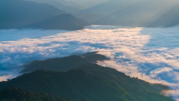 Beautiful Nature In Morning alt