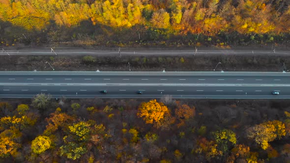 Forest Road. Beautiful Autumn Colors, Aerial View