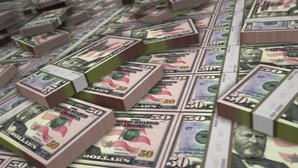 Dollar money banknote pack loop alt