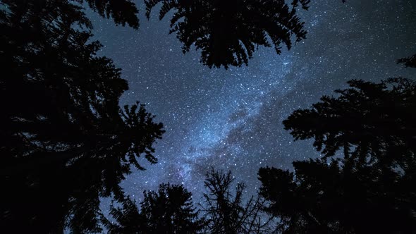 Milky Way Galaxy Stars Light Turning in Dark Forest Astronomy alt