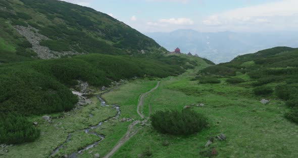 flying over a valley in mountains with small river, trial and small spruces alt