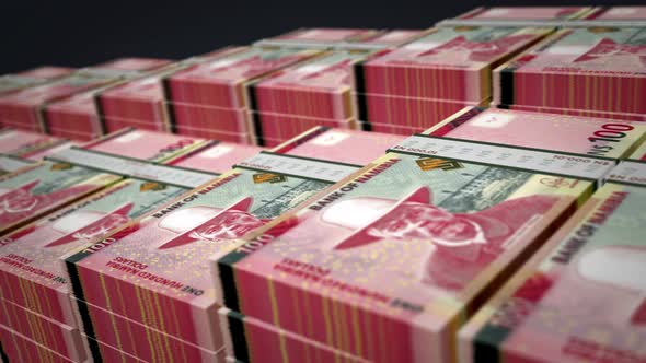 Namibia dollar money banknote pack growth up loop alt