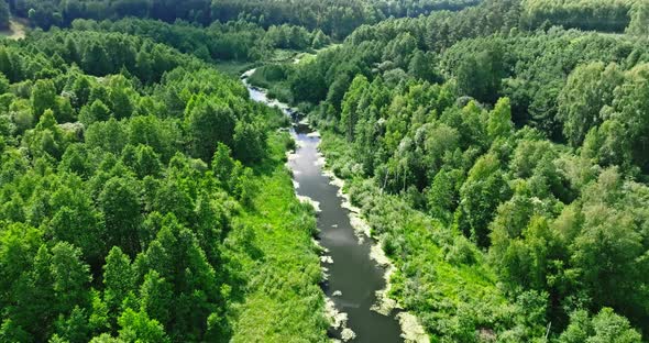 Green algae on small river. Aerial view of nature alt