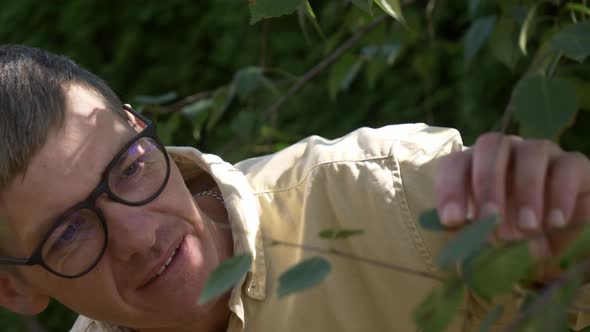 man in glasses looking at birch branch in a garden alt