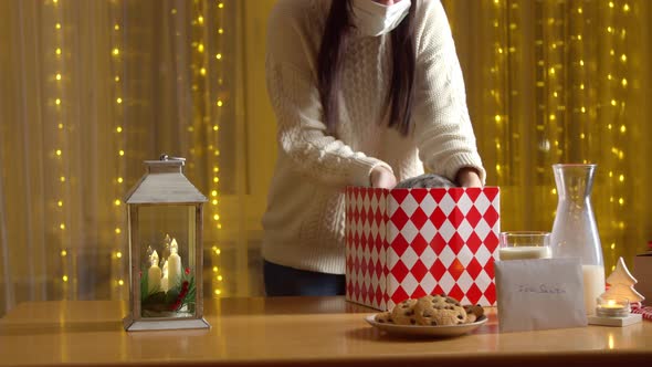 Woman Opening Christmas Present Adorable Cat Inside