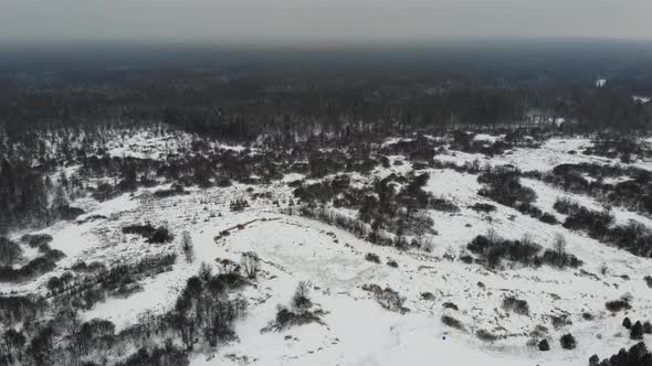 The Edge Of The Taiga Forest Under The Snow