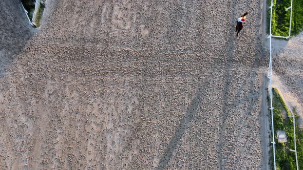 Aerial straight down view of equine trainers training the horse for the race on the track at Hipodro alt