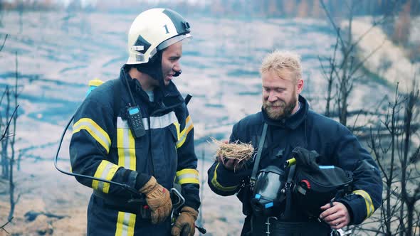Firemen are Holding a Nest Saved From the Fire alt