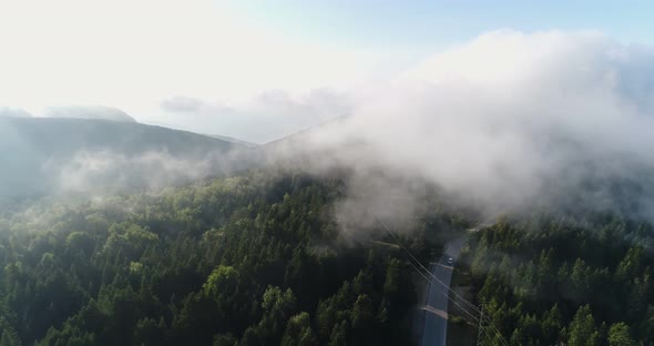 Forest And Over The Clouds Aerial View 4