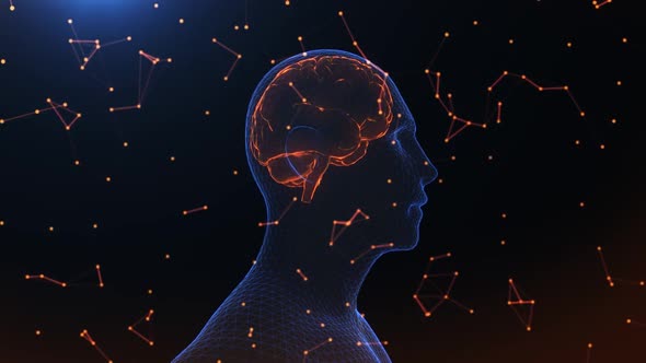 Abstract Human Body Rotation alt