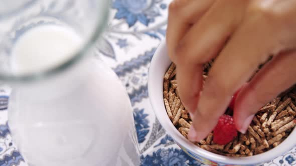 Cereal bran sticks with raspberries in a bowl 4k alt