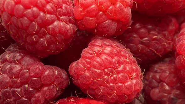 Macro Rotation Raspberry, Stock Footage | VideoHive