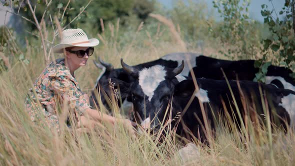 Farm Animals In Summer Carefree Tourist In Dress Stroke Domestic Animal In Meadow. Cow In Grass. alt