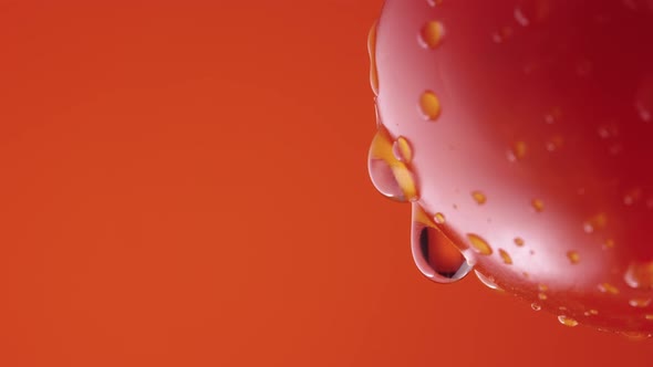 Ripe Tomato in Drops of Water on a Red Studio Background alt