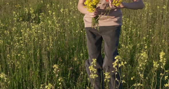 Leisure in the Wild Field alt