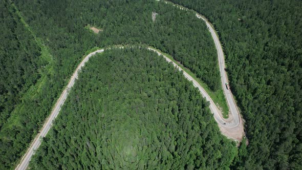 Winding Road in the West Siberian Taiga Ecoregion