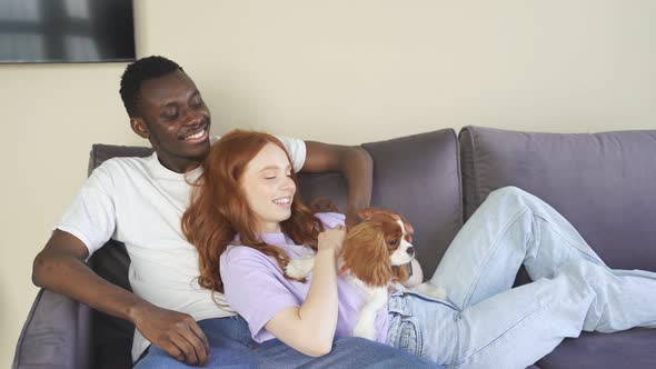 Beautiful Caucasian Woman and Black Man Caring Pet Owners Relax at Home on the Couch with Their Dog