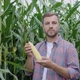 A Young Happy Farmer Examines a Head of Corn in His Field - VideoHive Item for Sale