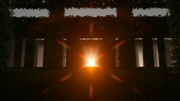 Sunset Through The Columns alt