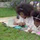 Happy African family with children lying reading or writing to book in the garden. - VideoHive Item for Sale