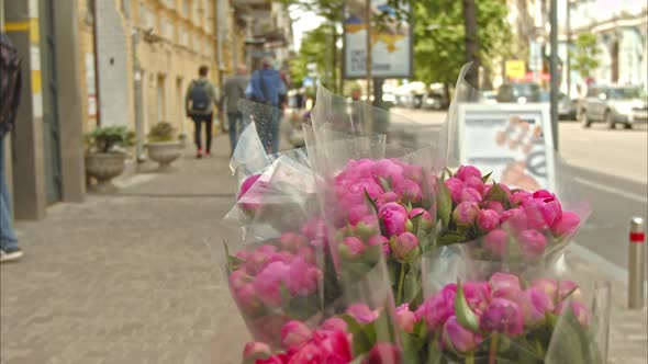 Bouquets of Peonies are Sold on the Central Street of Kyiv