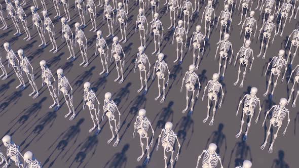 Human Skeletons Loop