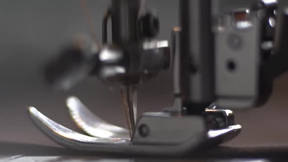 Needle and foot of sewing machine making stitches macro