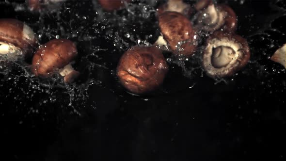 Super Slow Motion Mushrooms Fall on the Water with Splashes alt
