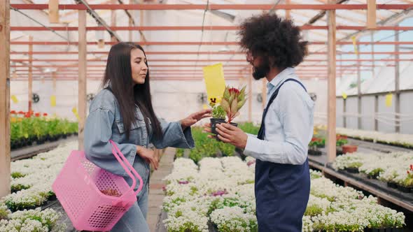 Modern Eco Market of Fresh Organic Plants alt