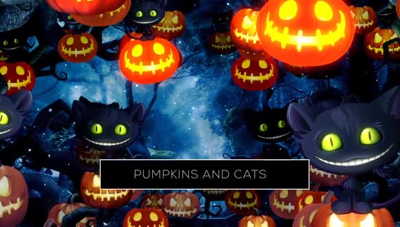 Pumpkins And Cats