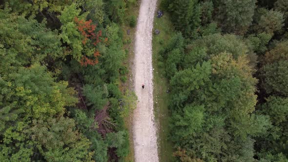 Top Down Aerial Shot of an Adventurous Man Hiking on a Mountainside Road