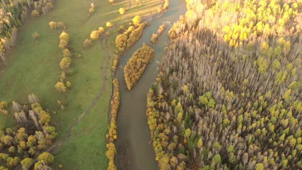 Aerial View From Drone Over a Curve River, Fall Bald Forest and Country Road