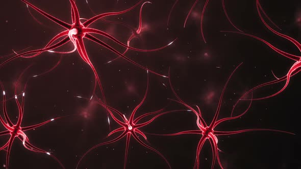 Neurons Forming A Neural Network alt