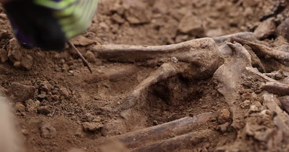 Archaeological Excavations Work of the Search Team at the Site of a Mass Shooting of People alt