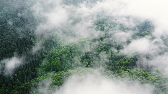 Aerial View of Misty Forest Clouds Above Mountain alt