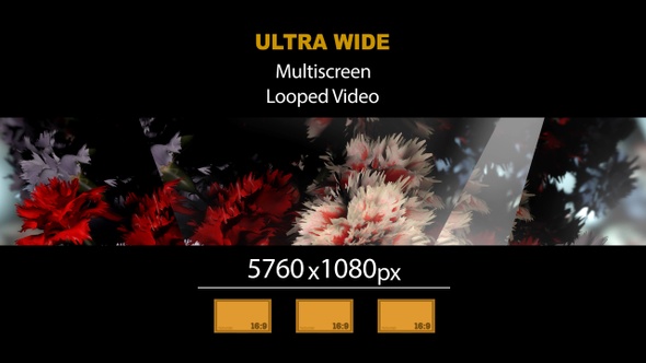 Ultra Wide HD Bouquet Flowers Reflex 05