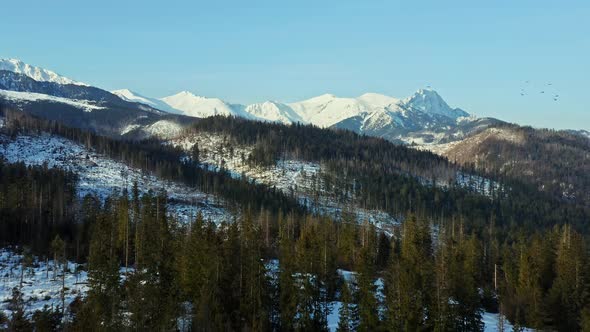 Majestic white peaks of Tatra Mountain range in Poland with evergreen forest alt