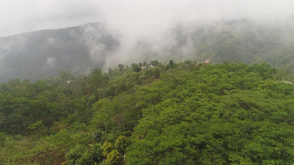 Farmlands and Village Bali Indonesia alt