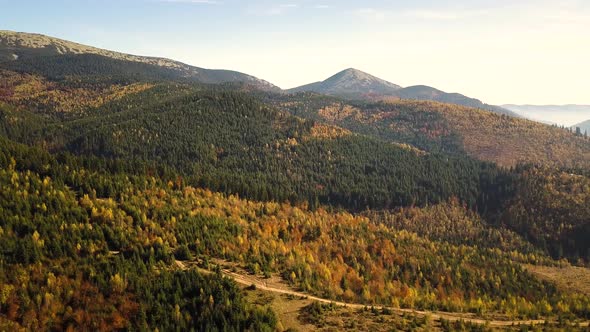 Aerial view of autumn mountain landscape with evergreen pine trees and yellow fall forest alt