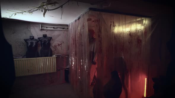 Crazy Maniac in a Clown Costume in His Bloody Lair alt