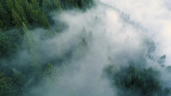 Flying Through the Clouds and Mist, Forest on Mountain. Beautiful Morning Sunrise Natural Landscape alt