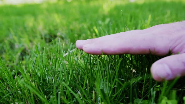 Closeup of a Young Caucasian Male Hand Slowly Sliding His Hand Over Short Grass