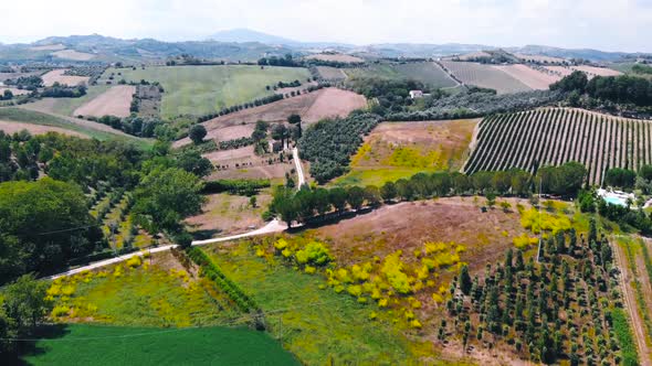 Aerial view of hills and agricultural fields in Marche region, Italy alt