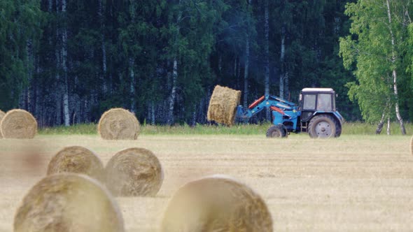Tractor Carries Bales of Straw Halm Across Field alt