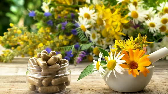 Medicinal Herbal Extracts and Dietary Supplements alt