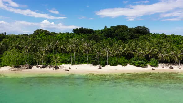 Tropical Island with Palm Trees and a White Sandy Beach alt